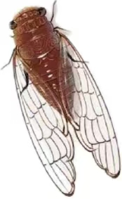 EA3B